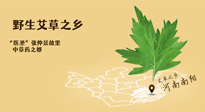 艾草越嫩越好，還是越久越好？悄悄告訴你：艾草這樣用，效果最好！