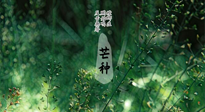 【二十四節(jié)氣灸】芒種節(jié)氣，培土補(bǔ)脾、養(yǎng)陰生津！艾灸這些穴位事半功倍！