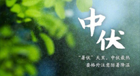 【三伏養(yǎng)生】至熱中伏，吃三樣，喝三樣，三大禁忌千萬(wàn)別犯，小心落下病根！
