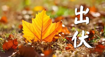【三伏養(yǎng)生】出伏后做好養(yǎng)生很關(guān)鍵！一行要注意！