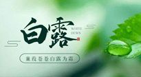 【二十四節(jié)氣灸】白露涼爽，養(yǎng)心肝脾胃、滋陰潤(rùn)肺是關(guān)鍵！