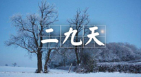 【三九養(yǎng)生】冬二九，扶陽補(bǔ)腎氣，讓你陽氣充足一整年！