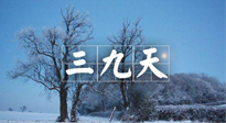 【三九養(yǎng)生】冬三九，三九第三灸，一年中最后艾灸黃金9天！