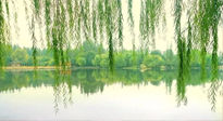 【養(yǎng)生知識】已入五九，六九將至，五九的養(yǎng)生秘訣，你知道嗎？