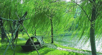 【養(yǎng)生知識】元宵入六九，春季已至，六九天的養(yǎng)生知識你知道多少？