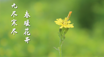 【九九養(yǎng)生】三月四日“九九日”，寒冬已過。春天養(yǎng)好身，全年不怕??！