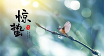 【二十四節(jié)氣灸】驚蟄節(jié)氣，艾灸喚醒抵抗力、補充陽氣的最好時機！