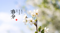 【二十四節(jié)氣灸】春分，平分了大地晝夜；艾灸，平衡了身體陰陽！
