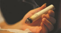 【艾灸知識(shí)】春暖花開，衣衫漸薄，再不減肥，身上的肉肉可藏不住了！