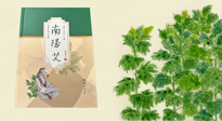 【行業(yè)資訊】國內(nèi)首部艾草專著《南陽艾》，在南陽新書首發(fā)！