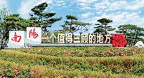 【行業(yè)資訊】南陽一個值得三顧的地方！“丹江水”“仙草艾”成為 “南陽禮物”新爆款！