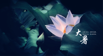 【二十四節(jié)氣灸】趁大暑好好艾灸，才不辜負(fù)三伏天的驕陽！