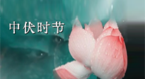 【艾灸三伏天】中伏：三伏灸的關(guān)鍵轉(zhuǎn)折點！“灸”除病根的大好時機！