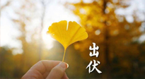 【艾灸三伏天】出伏啦！三防三宜兩穴位，防止身體“秋后算賬”！