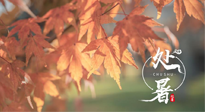 【二十四節(jié)氣灸】處暑，冬病夏治倒計(jì)時(shí)！秋涼真的要來了！