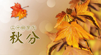 【二十四節(jié)氣灸】秋分節(jié)氣，平衡陰陽，巧用艾灸，潤燥養(yǎng)肺是關(guān)鍵！