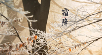【二十四節(jié)氣灸】霜降節(jié)氣：艾灸四穴，護(hù)您冬天安然無(wú)恙！