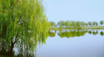 【艾灸知識】春三月，必艾灸穴位：疏肝理氣，養(yǎng)血調神！