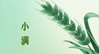 【二十四節(jié)氣灸】小滿節(jié)氣記得艾灸，悠悠長夏，健康度過！