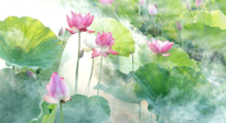 【養(yǎng)生知識】花開半夏，夏至養(yǎng)生，這些知識一定要牢記！