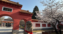 【行業(yè)資訊】新華財(cái)經(jīng)：守正創(chuàng)新，中醫(yī)藥品牌化發(fā)展“更上一層樓”！