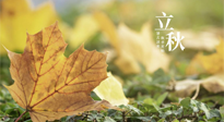 【節(jié)氣養(yǎng)生】甲辰立秋，“2做”、“2不做”，護好我們身體的正氣，預(yù)防外邪的侵襲！