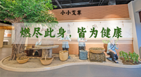 【艾草知識(shí)】小小艾草，渾身是寶，一生燃盡此身，皆為健康！