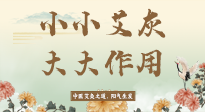 【艾草知識】艾灰真是個巨好用的東西，?它的神奇功效，你知道多少？